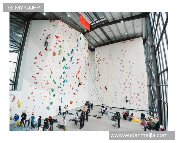 重庆攀岩队荣登全国攀岩技术排行榜第六名展现实力与潜力